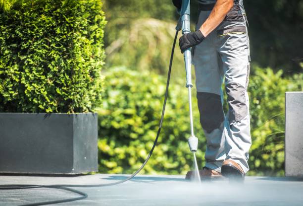 Best Dumpster Area Cleaning  in Sesser, IL