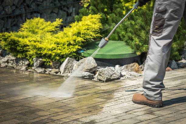 Best Warehouse Cleaning  in Sesser, IL