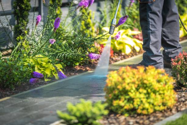 Best Pre-Holiday Cleaning  in Sesser, IL