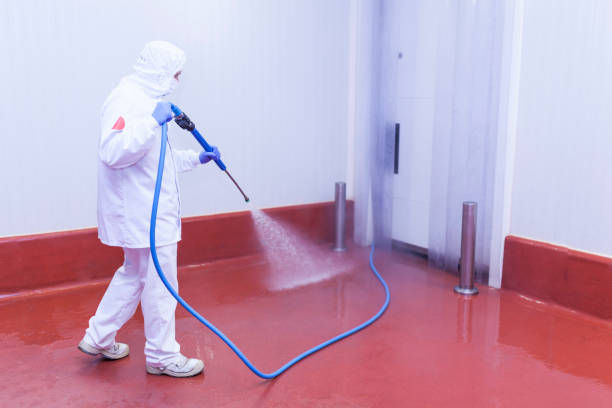 Best Patio and Deck Pressure Washing  in Sesser, IL