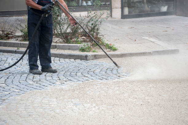 Best Animal Enclosure Cleaning  in Sesser, IL