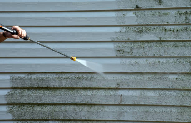 Best Restaurant Pressure Washing  in Sesser, IL