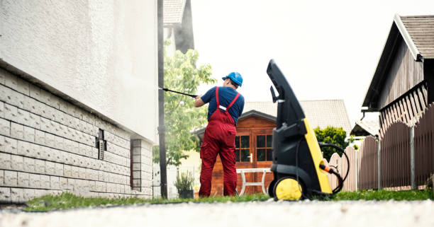 Best Graffiti Removal  in Sesser, IL